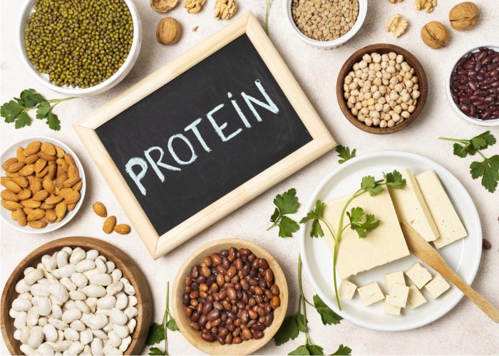 Protein Based Diet - Kaahan  Ayurveda